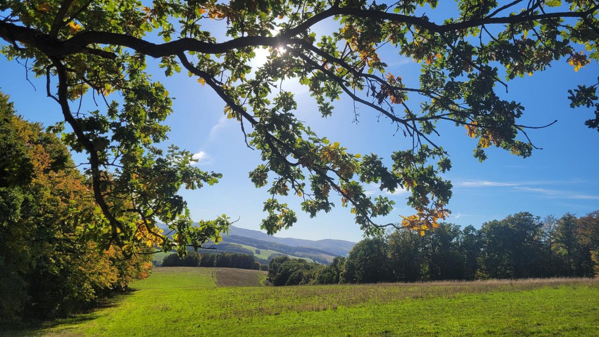 Im Alten Rathaus Bad Liebenstein Buitenkant foto